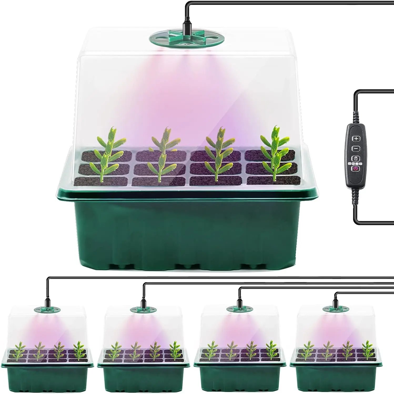 5 invernaderos con Luz Ultravioleta, Cajas de cultivo de invernadero, semilleros 5 bandejas, 60