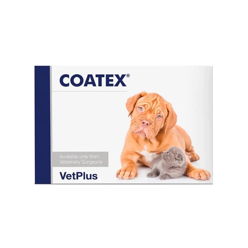 VETPLUS - Coatex (60 Cápsulas) - Complemento dermatológico para Perros y Gatos