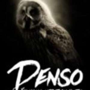 Denso (ebook)